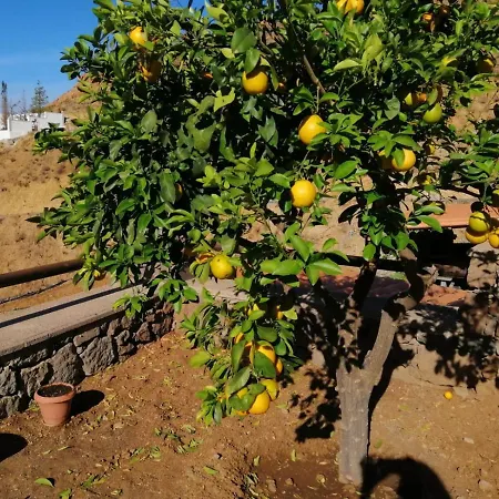 Casa Rural La Solana Дом отдыха