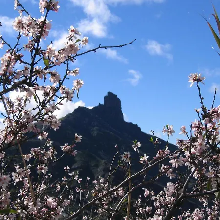 Casa Rural La Solana * Tejeda (Gran Canaria)